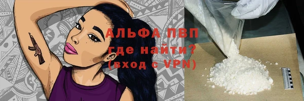 ПСИЛОЦИБИНОВЫЕ ГРИБЫ Бородино