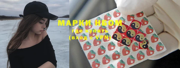 сатива Богородицк
