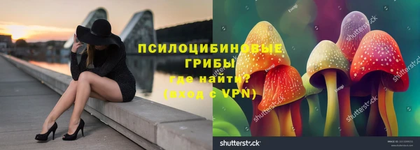спайс Богданович