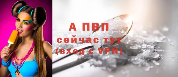 ПСИЛОЦИБИНОВЫЕ ГРИБЫ Бородино
