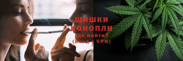 сатива Богородицк