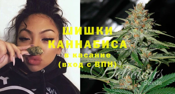 прущий лед Бронницы