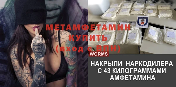 ПСИЛОЦИБИНОВЫЕ ГРИБЫ Бородино