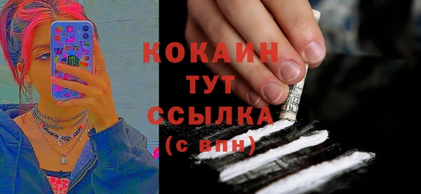 сатива Богородицк