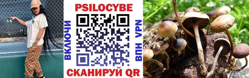 Галлюциногенные грибы GOLDEN TEACHER  Горячий Ключ 